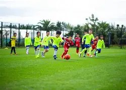 厄齊爾,歲正式掛靴,長期困擾傷,足彩,体彩,彩票,体育彩票,足球彩票,彩票合买,大发彩票