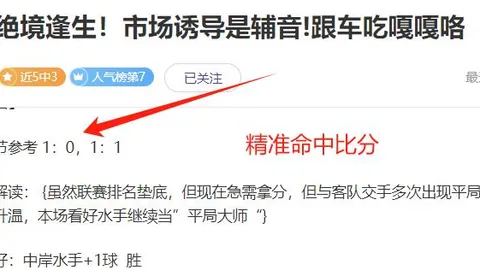 大乐透期号专家质合分析推荐：前区十码连红策略