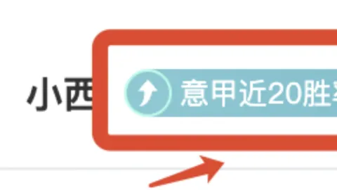 伊朗世界杯小组赛美国本土挑战，局势分析及专家推荐